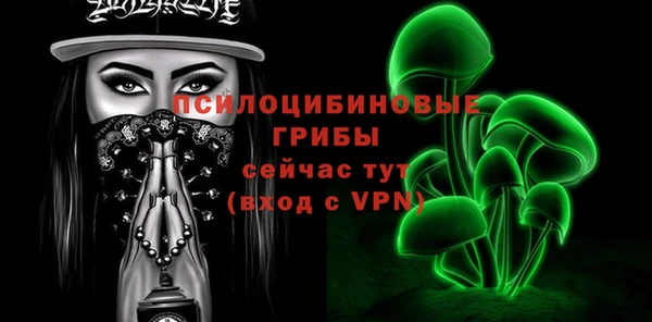 тгк Алексин