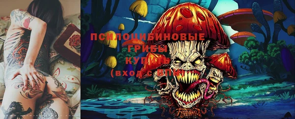 тгк Алексин