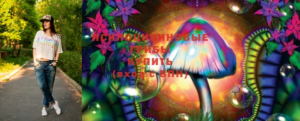 тгк Алексин