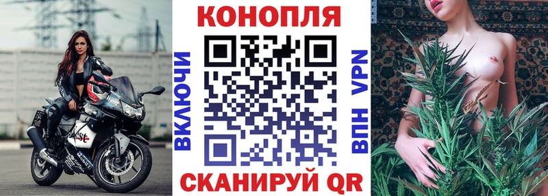 Купить закладки  Сольвычегодск  Бошки Шишки конопля 